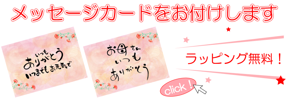メッセージカード付きラッピング無料！